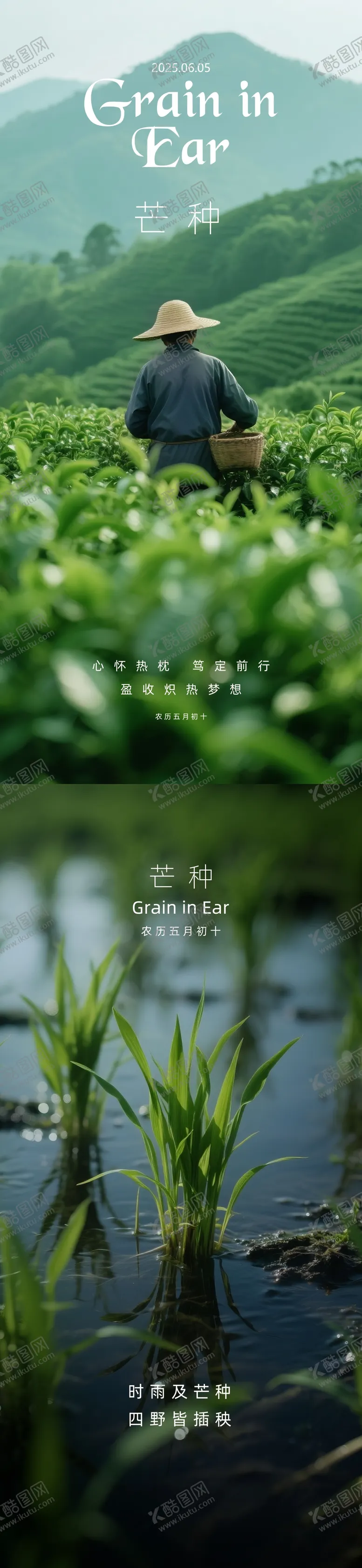 编号：77499806151849364534【酷图网】源文件下载-二十四节气芒种摄影写实系列海报