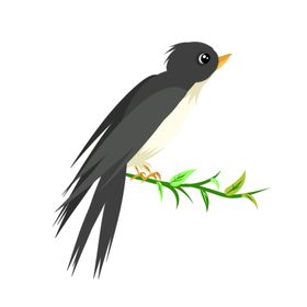 立春燕子插画