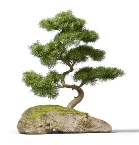 迎客松PNG免抠抠图免抠素材