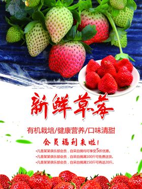 新鲜草莓