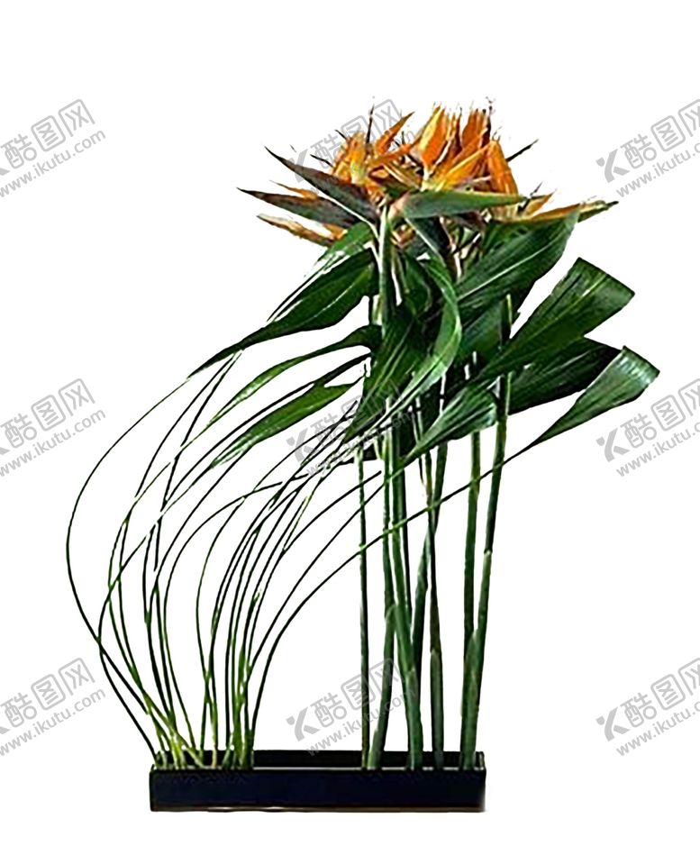 编号：22685709161612146160【酷图网】源文件下载-花艺