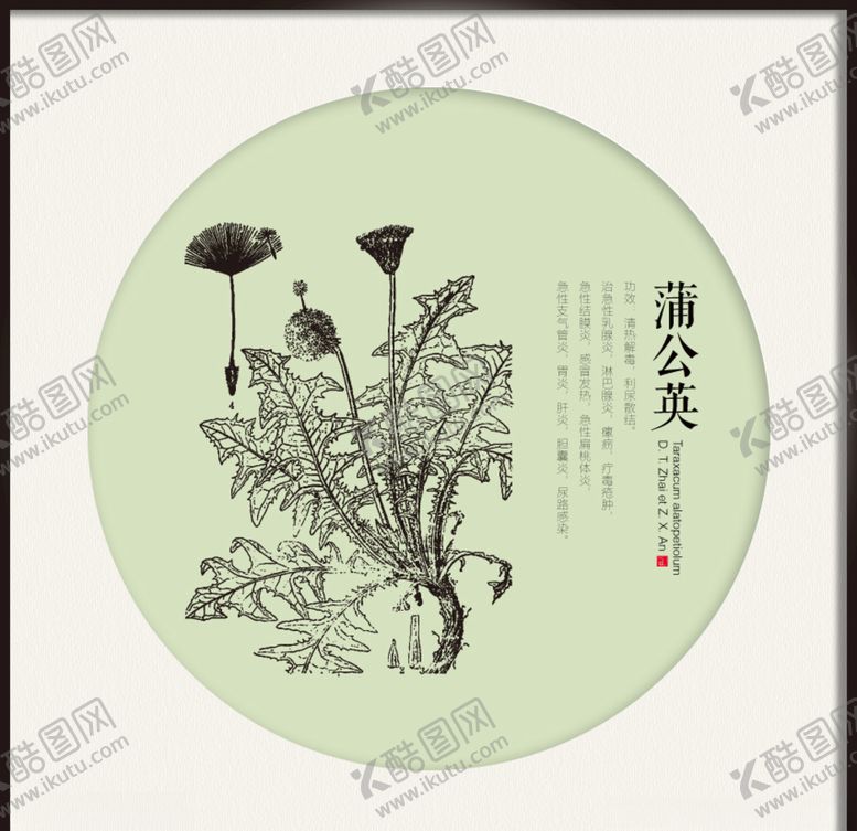 编号：20064810200936067076【酷图网】源文件下载-蒲公英中药线图