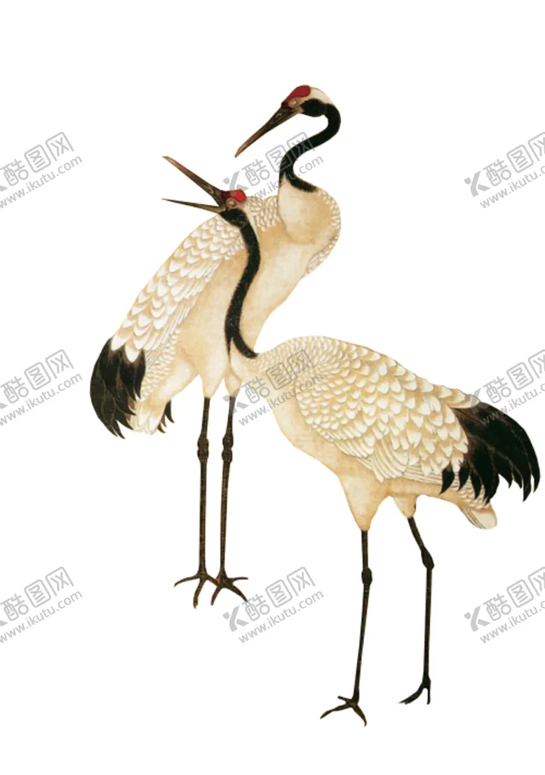 编号：26897506302124524935【酷图网】源文件下载-仙鹤
