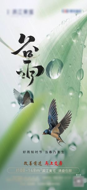 谷雨海报水珠地产二十四节气植物