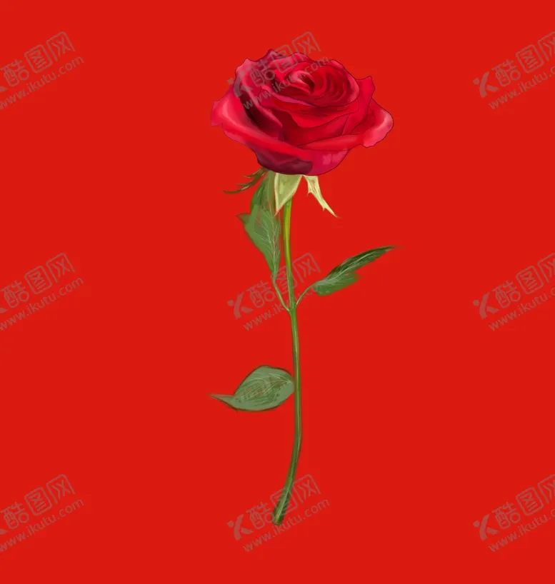 编号：11261301281717488390【酷图网】源文件下载-玫瑰花朵花卉