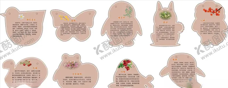 编号：43162106301400069391【酷图网】源文件下载-植物介绍