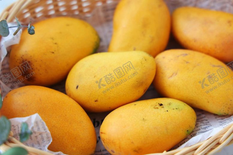 编号：79901901140120218578【酷图网】源文件下载-芒果