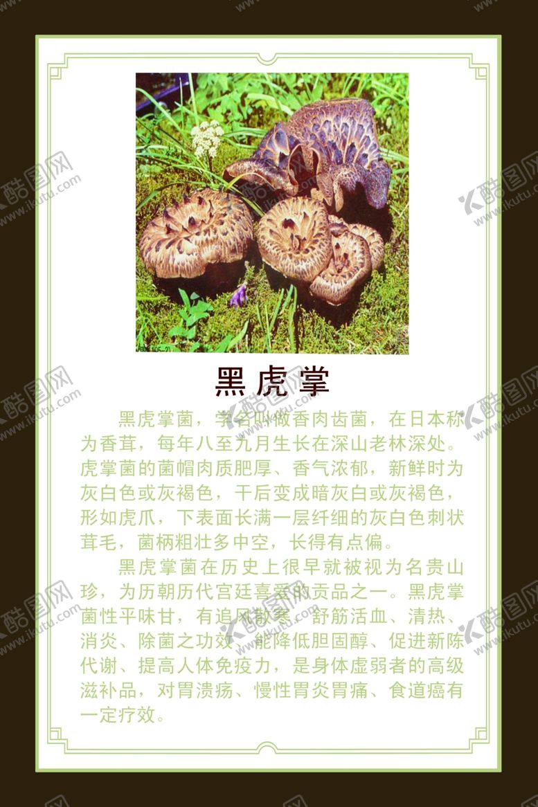 编号：46529710250152541726【酷图网】源文件下载-黑虎掌介绍