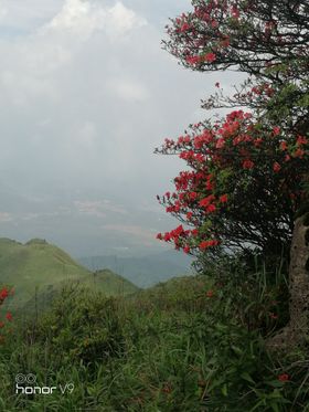 广西贺州姑婆山旅游展架设计