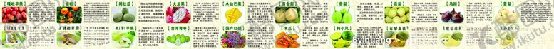 编号：90584010260224068113【酷图网】源文件下载-高清水果海报