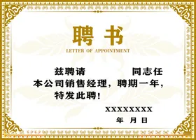 聘书任命证创意高档设计顾问