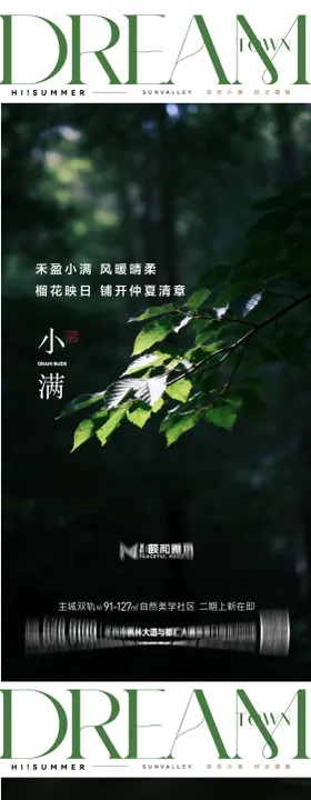 二十四节气小满节气节日海报