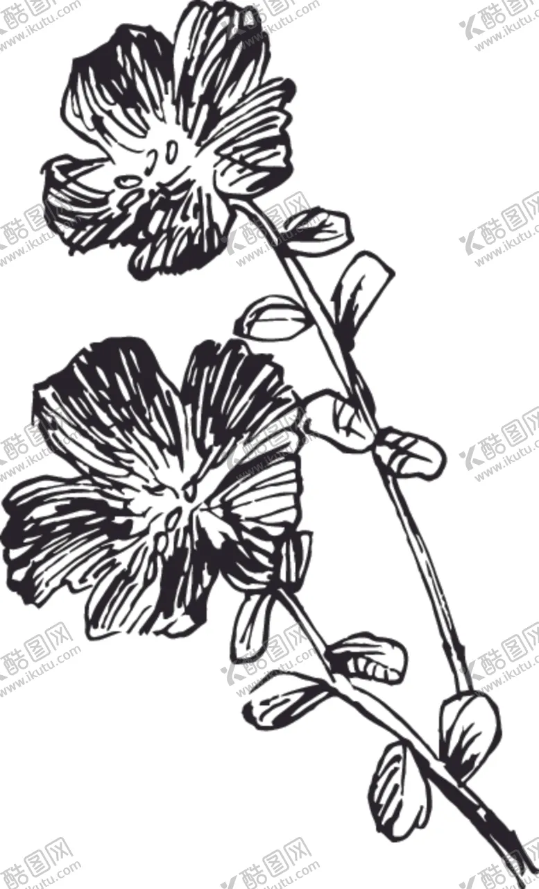 编号：26749507030622088341【酷图网】源文件下载-素描鲜花