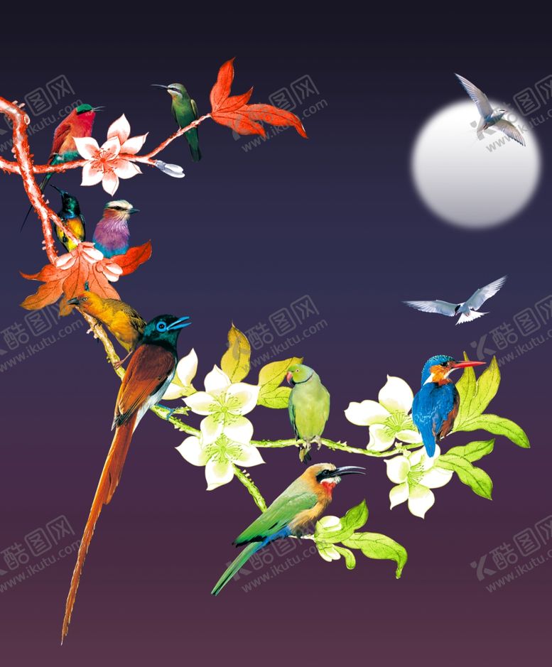 编号：30438810281212222983【酷图网】源文件下载-花鸟插画