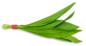 生菜
