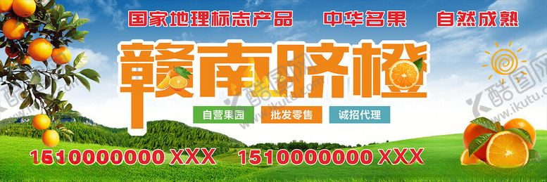 编号：85055001270344114279【酷图网】源文件下载-赣南脐橙