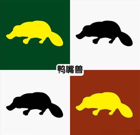 三只鸭嘴兽