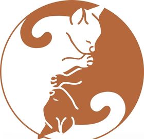 小狐狸