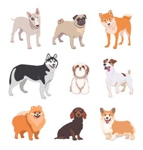 狗DOG动物卡通