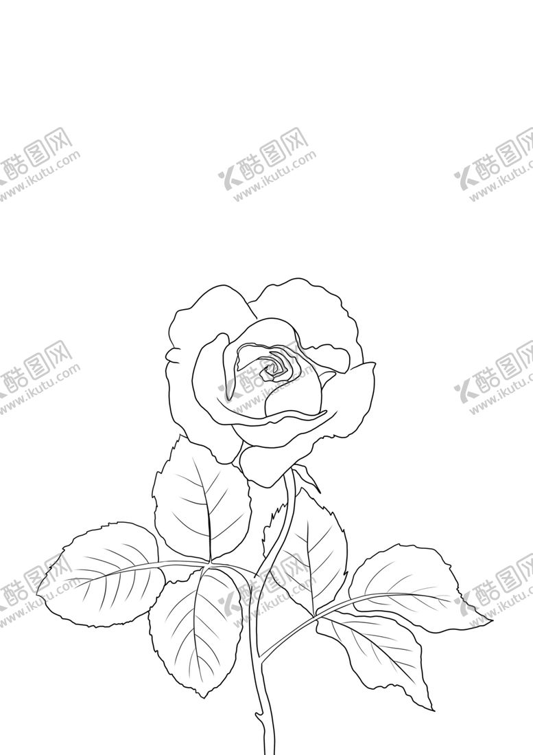 编号：10679405050909204869【酷图网】源文件下载-玫瑰花