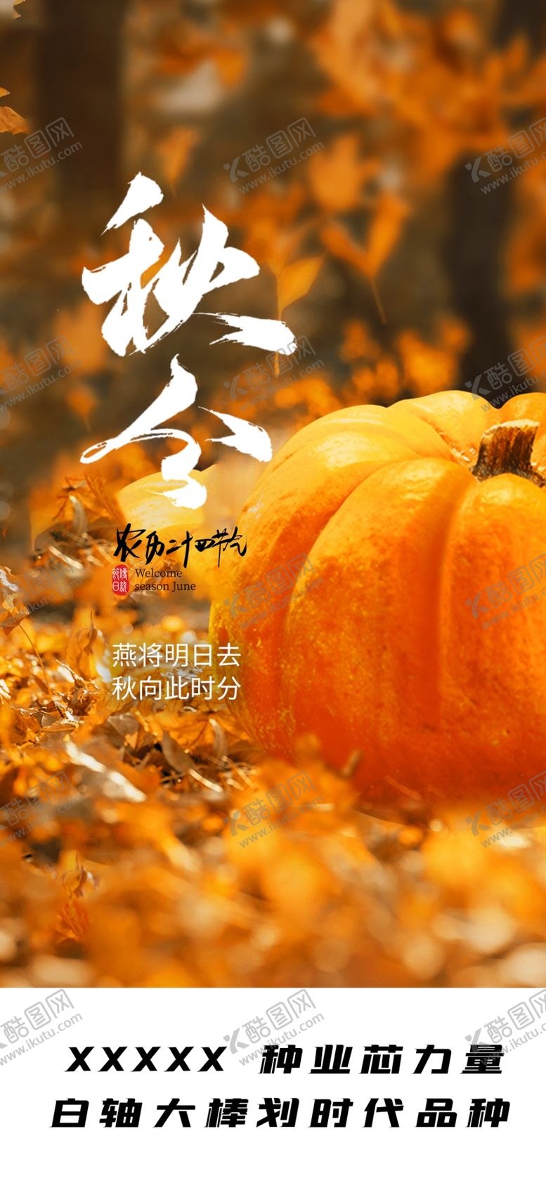 编号：91039901211412477921【酷图网】源文件下载-秋分