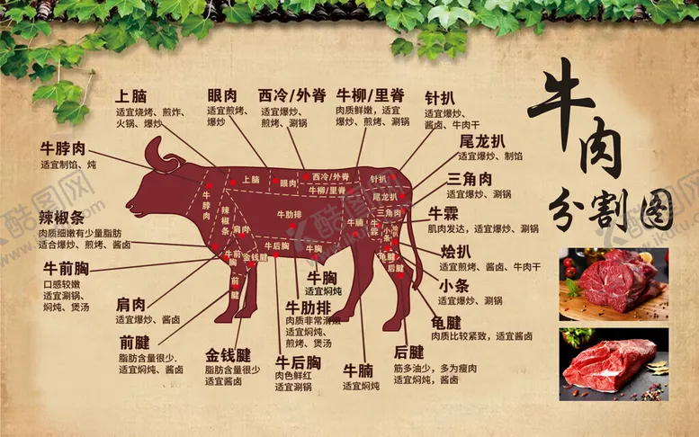 编号：41260402270954382890【酷图网】源文件下载-牛肉分割图