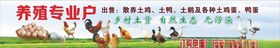 养殖专业户