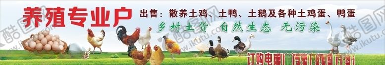 编号：64313405060000371809【酷图网】源文件下载-养殖专业户