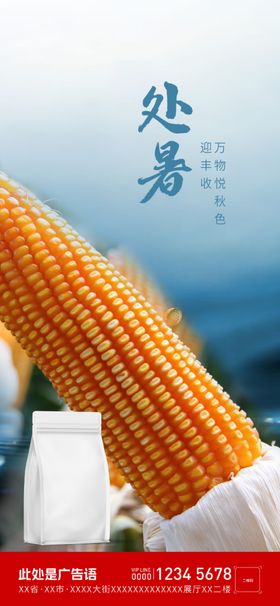 处暑海报秋天初秋飞机稿