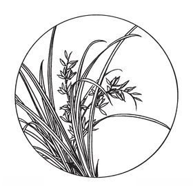 兰花