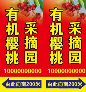 有机樱桃采摘园