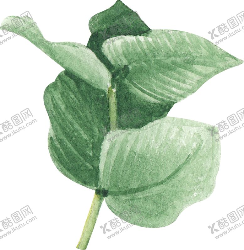 编号：34072410060731016648【酷图网】源文件下载-北欧小清新植物装饰