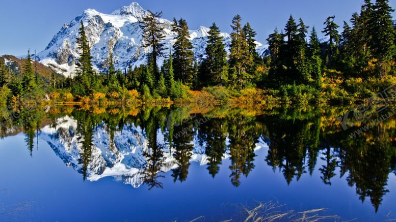 编号：19900609180258195486【酷图网】源文件下载-森林