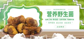 营养野生菌
