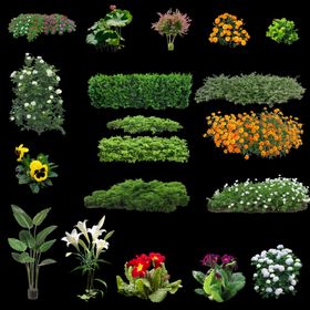 三号50组灌木花草素材