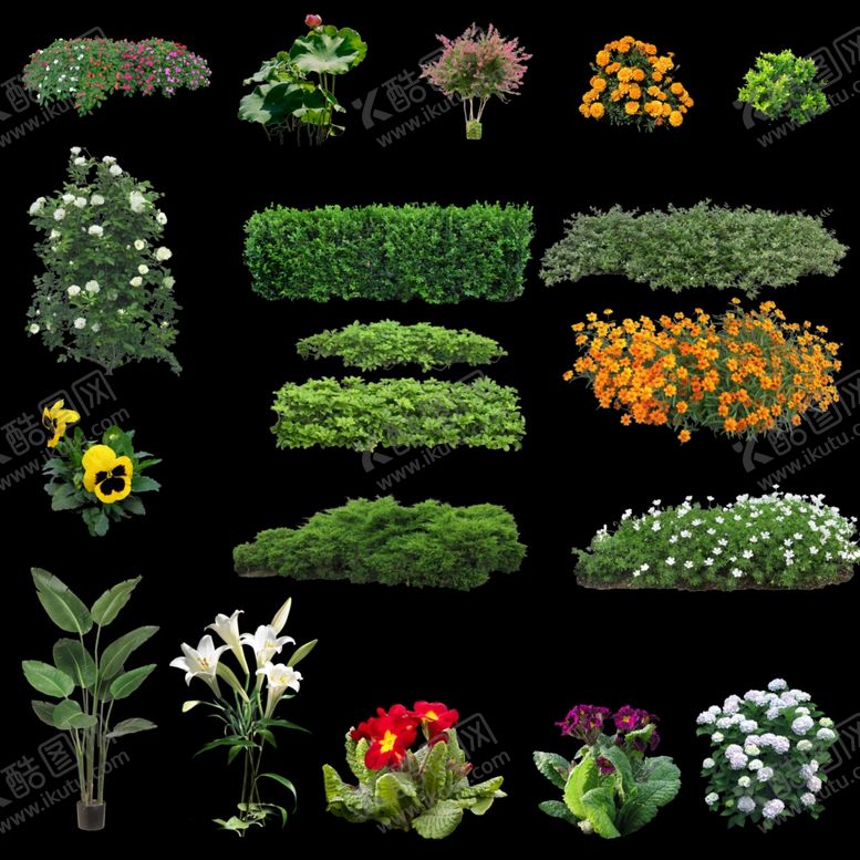 编号：45472610171325143090【酷图网】源文件下载-50组灌木花草素材01