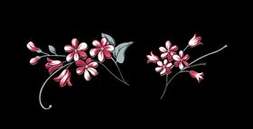 小花手绘