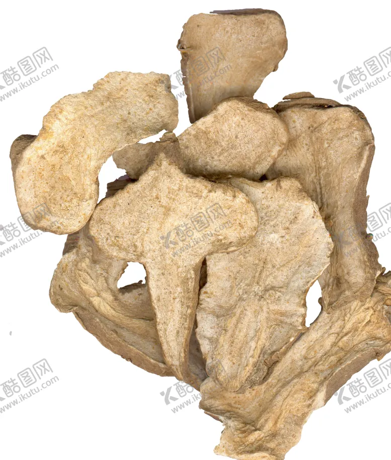 编号：33488703230247279582【酷图网】源文件下载-白术