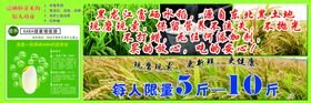 水稻