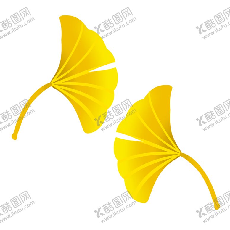 编号：56107809290507413535【酷图网】源文件下载-秋天银杏叶