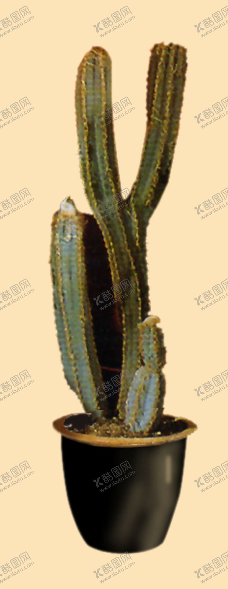 编号：18956707040057458977【酷图网】源文件下载-盆景