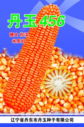 玉米棒