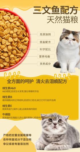 手帐风猫粮种类合集笔记贴纸