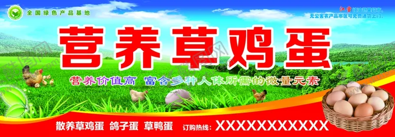 编号：21358802281603031322【酷图网】源文件下载-营养草鸡蛋门头设计