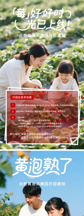 草莓黄泡采摘园海报