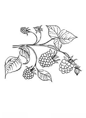 覆盆子矢量文件