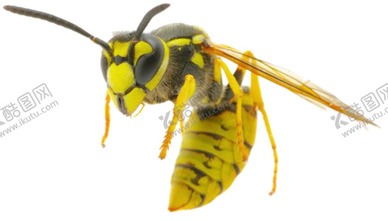 编号：11519709291733508079【酷图网】源文件下载-马蜂