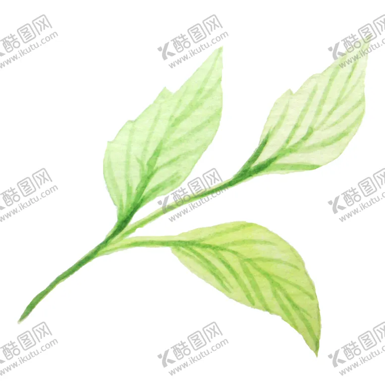 编号：38939106241913096819【酷图网】源文件下载-彩绘枝叶