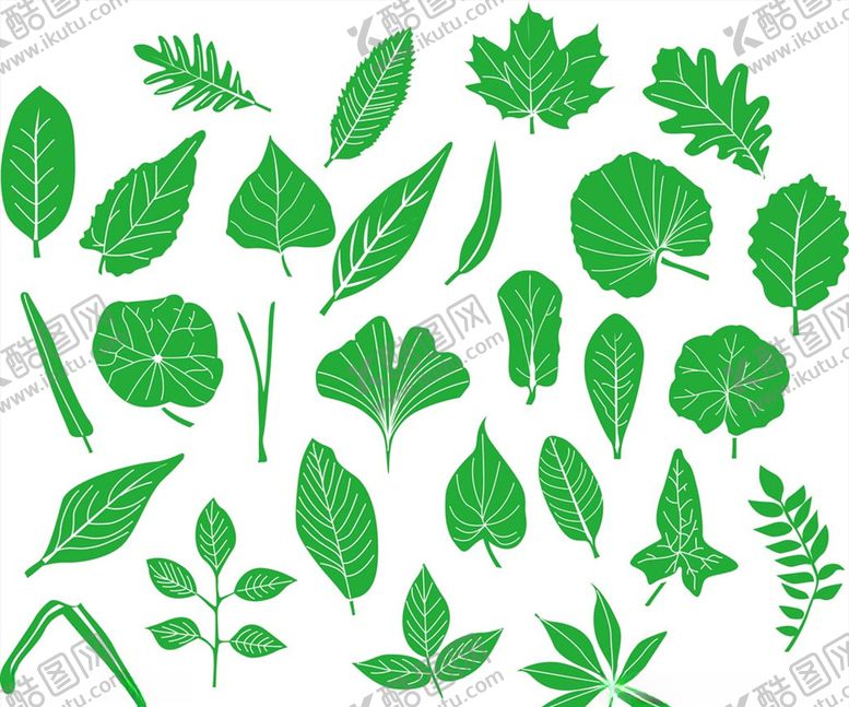 编号：18349109191115479089【酷图网】源文件下载-矢量手绘叶子元素