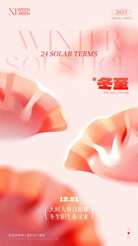 冬至节气饺子简约海报